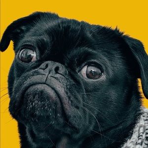 Meet your Posher, Anuradha